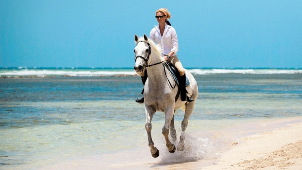 a man riding a horse on a beach