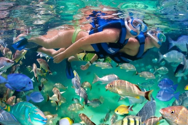 a group of people swimming in a pool of water